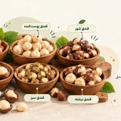 انواع فندق