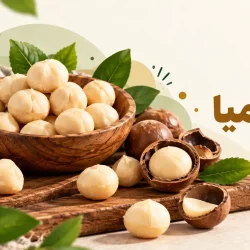 ماکادمیا چیست