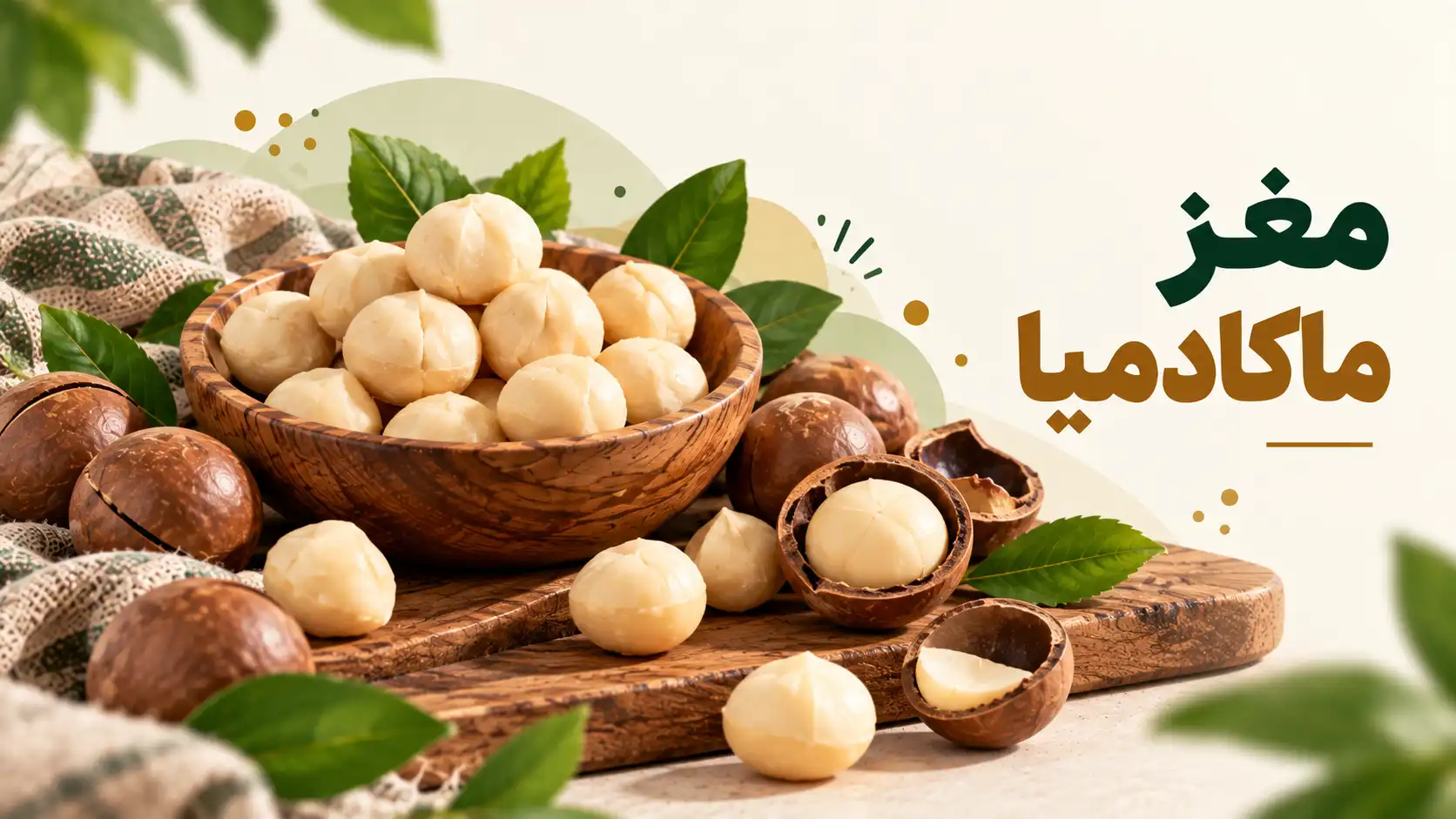 ماکادمیا چیست