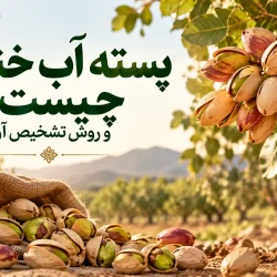 پسته آب خندان چیست