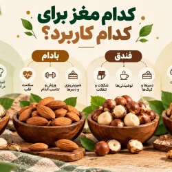 مقایسه گردو، بادام، پسته و فندق